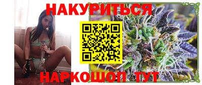 индика Кингисепп
