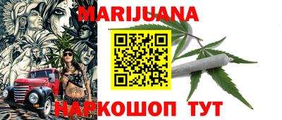 индика Кингисепп