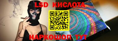 индика Кингисепп