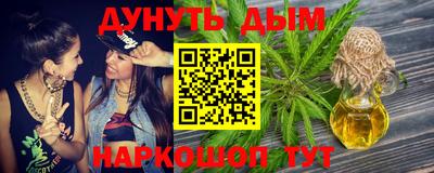 индика Кингисепп