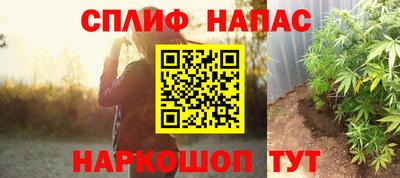 индика Кингисепп