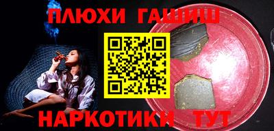 индика Кингисепп