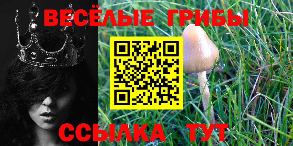 Псилоцибиновые грибы Psilocybine cubensis Кохма