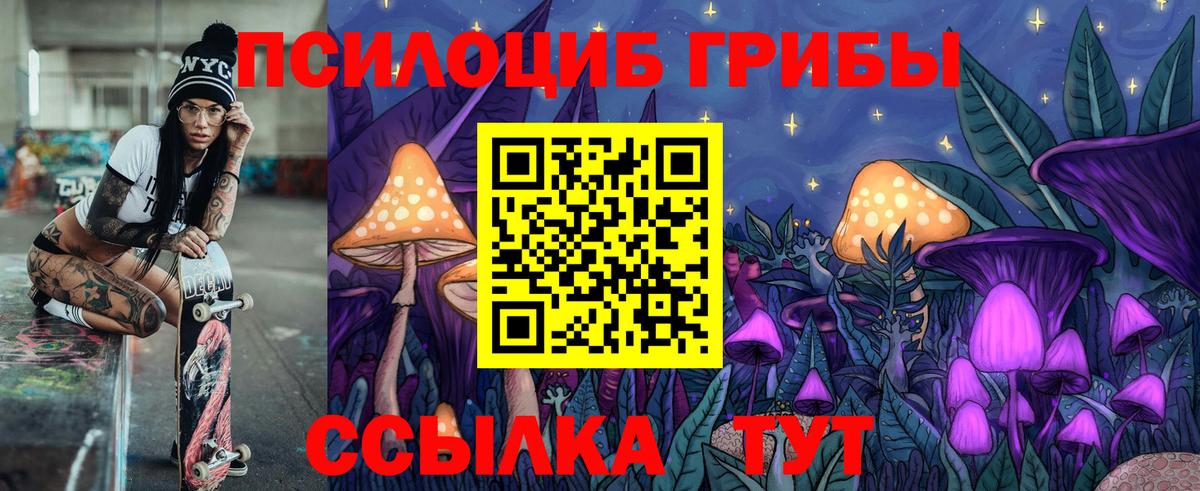 Псилоцибиновые грибы прущие грибы  Вход с VPN  Кохма 